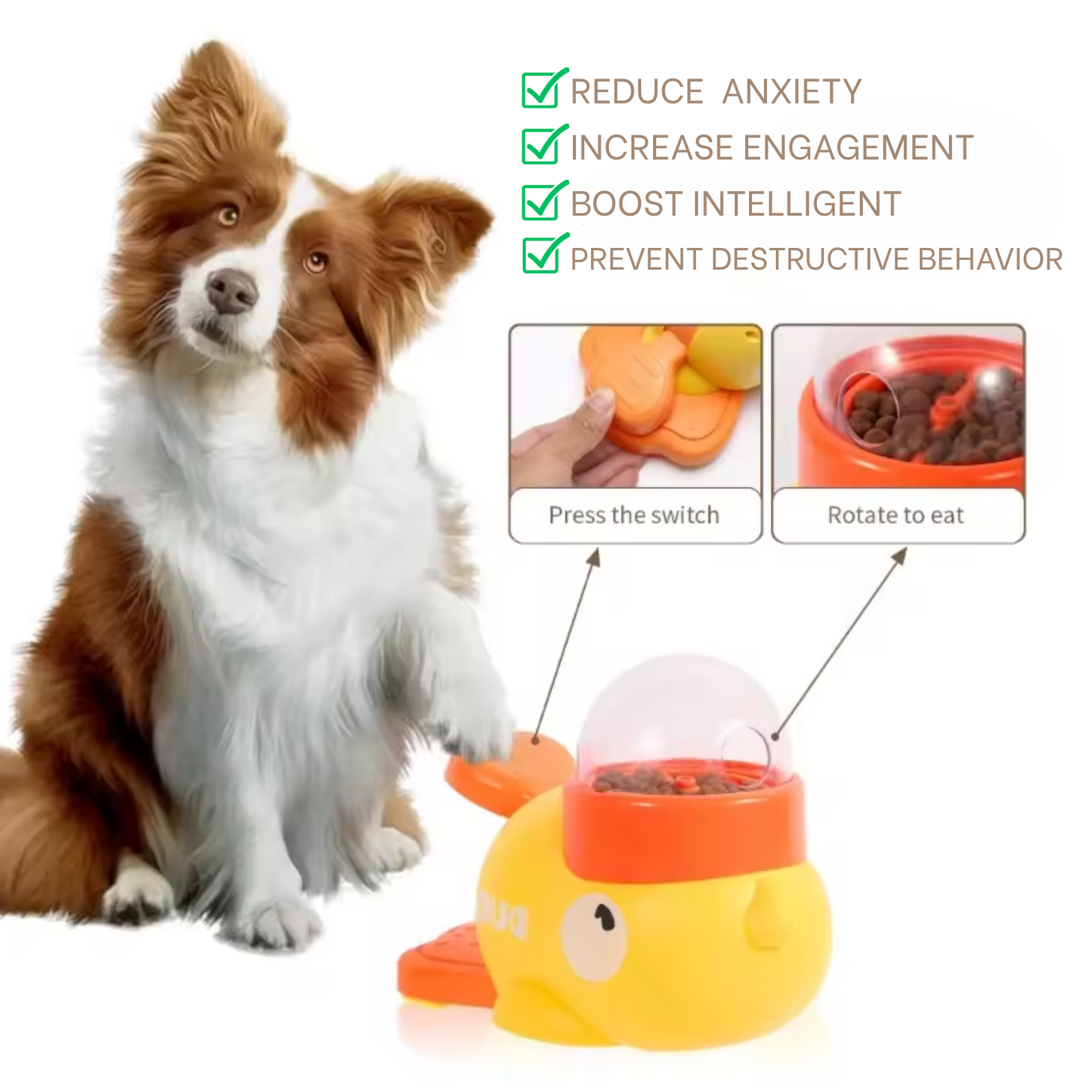 Pet Training Smart Dispensing Food