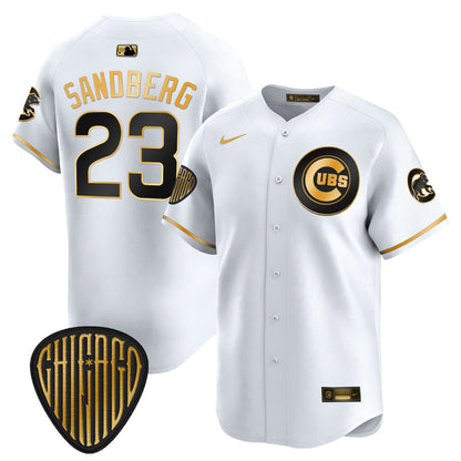 Men's Chicago Cubs 2025 Vapor Premier Limited Jersey - All Stitched