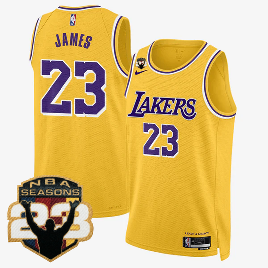 LAL LeBron Jame 23 Seasons Patch Special Jersey - Stitched