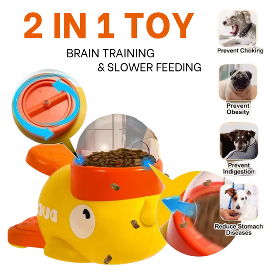 Pet Training Smart Dispensing Food